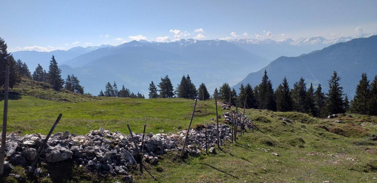 Ferienwohnungen Hochzillertal Kaltenbach Eksteriør billede