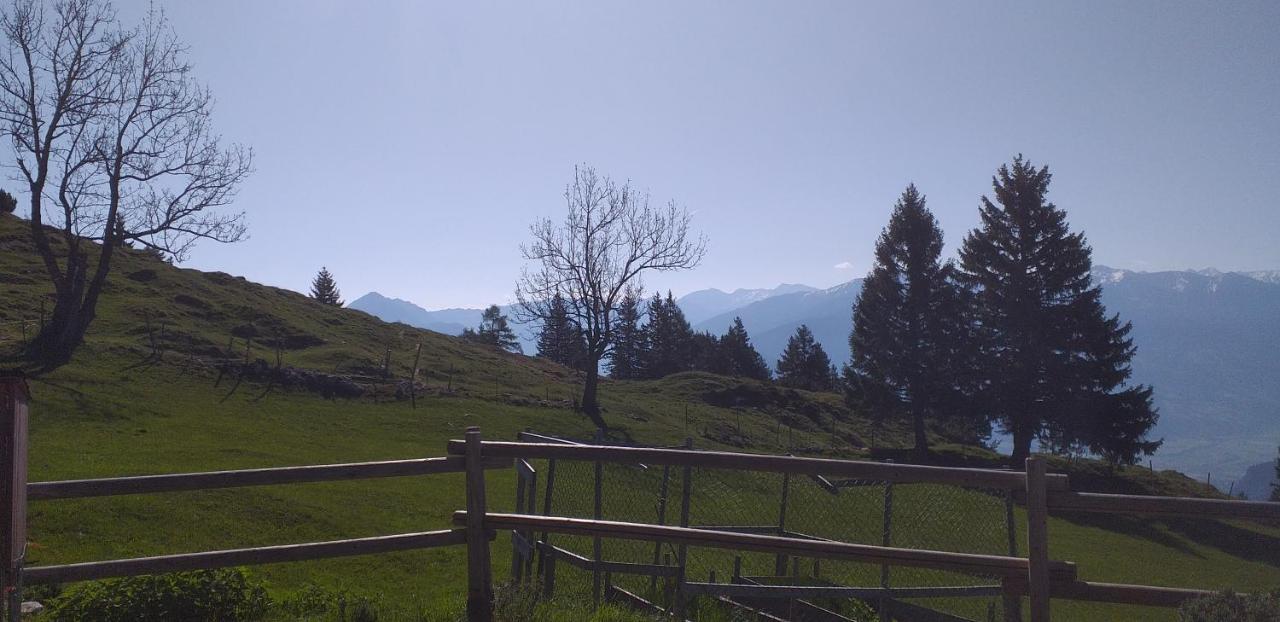 Ferienwohnungen Hochzillertal Kaltenbach Eksteriør billede